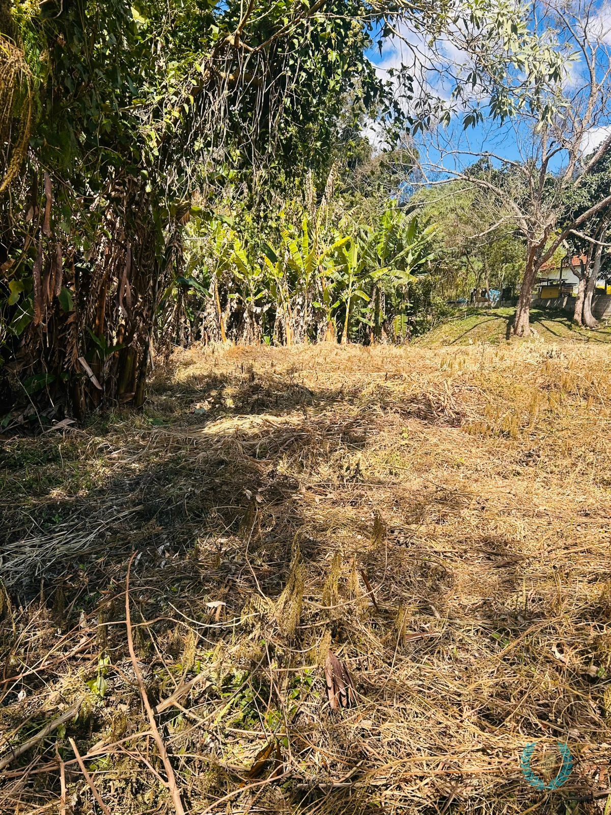 Terreno, 3700 m² - Foto 4
