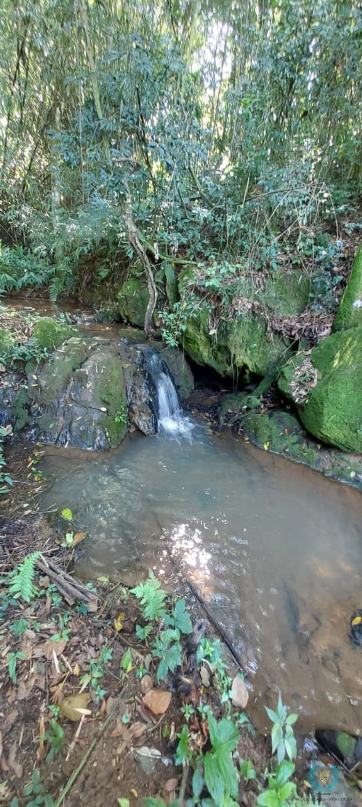 Fazenda, 10 hectares - Foto 7