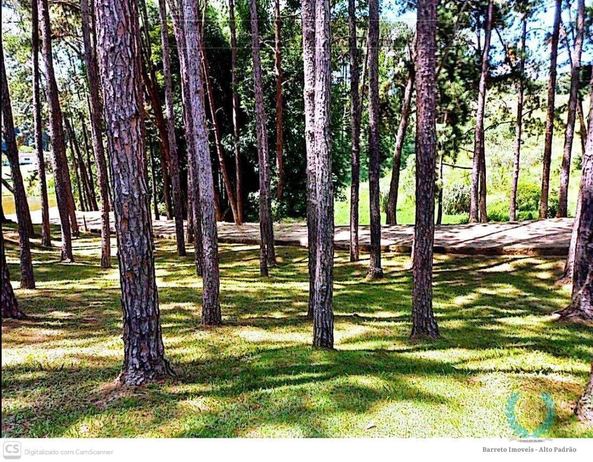 Fazenda, 7 hectares - Foto 7