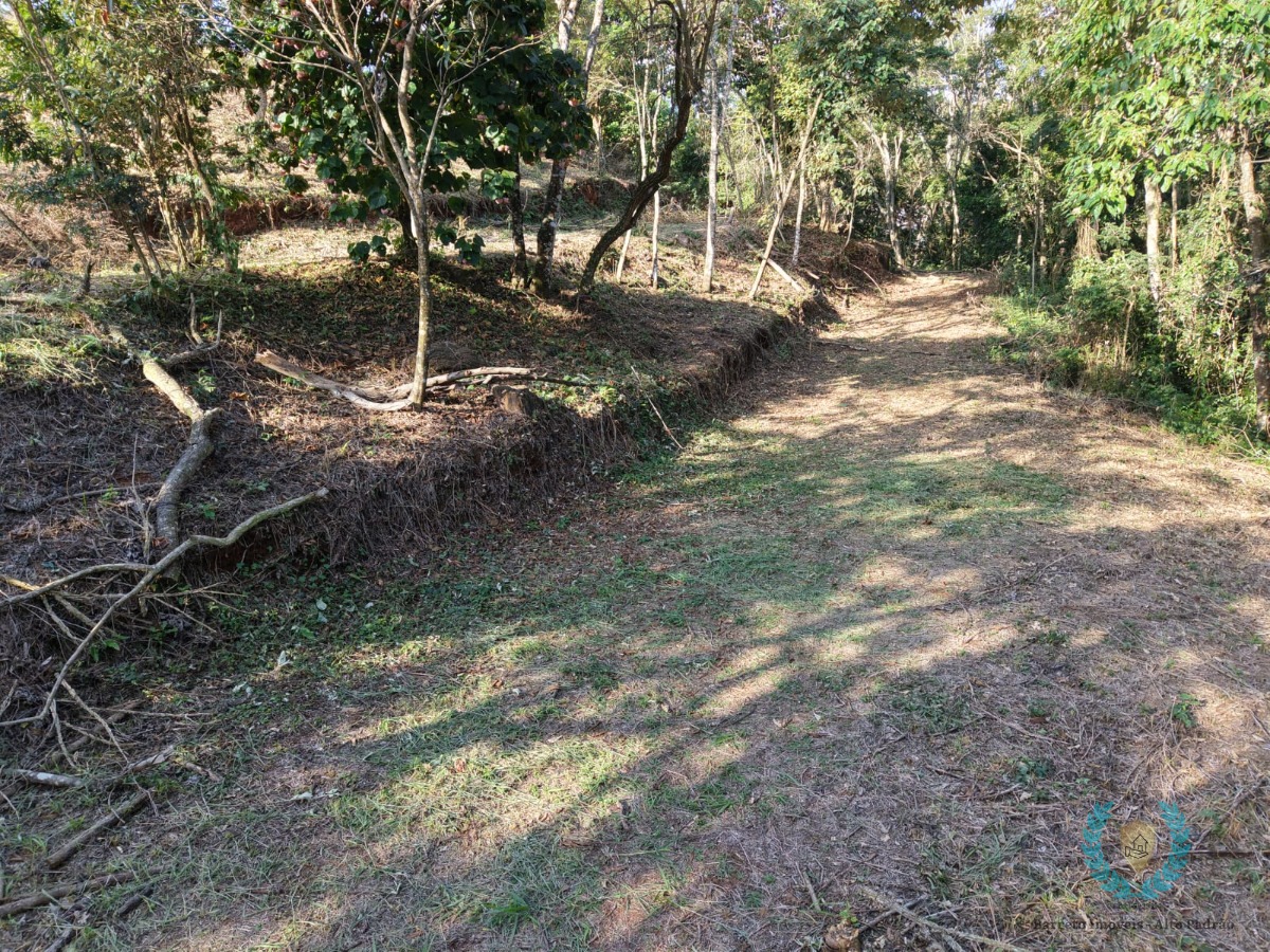 Terreno, 3265 m² - Foto 19