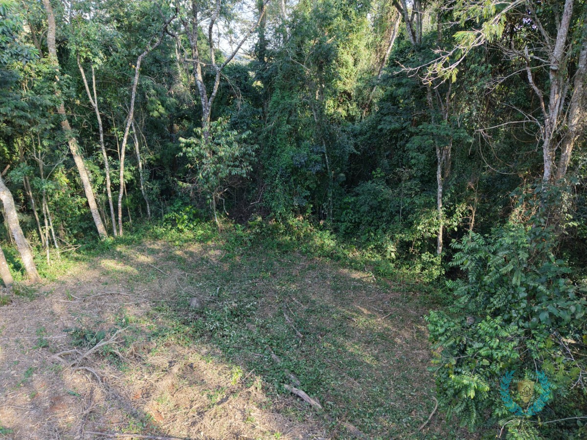 Terreno, 3265 m² - Foto 16