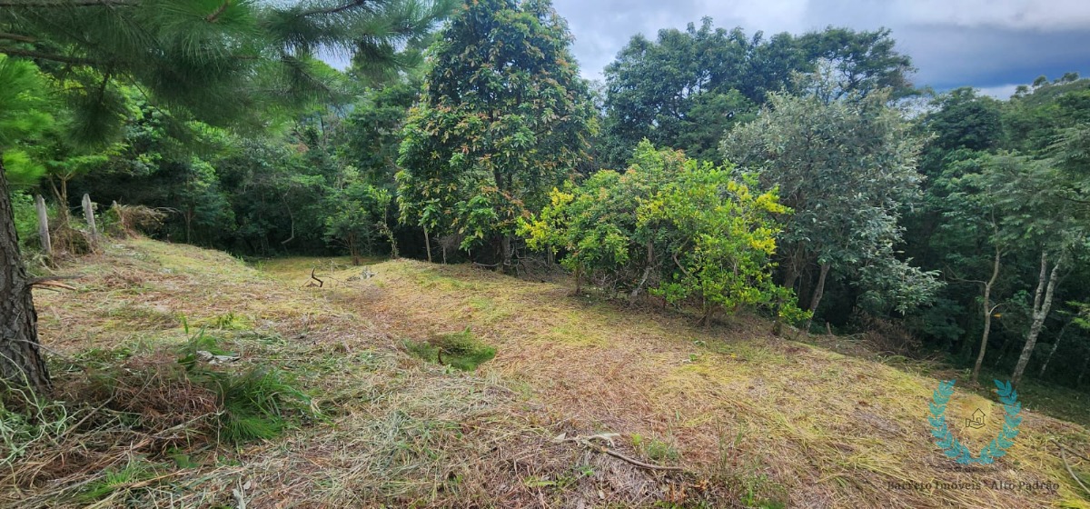 Terreno, 3265 m² - Foto 6