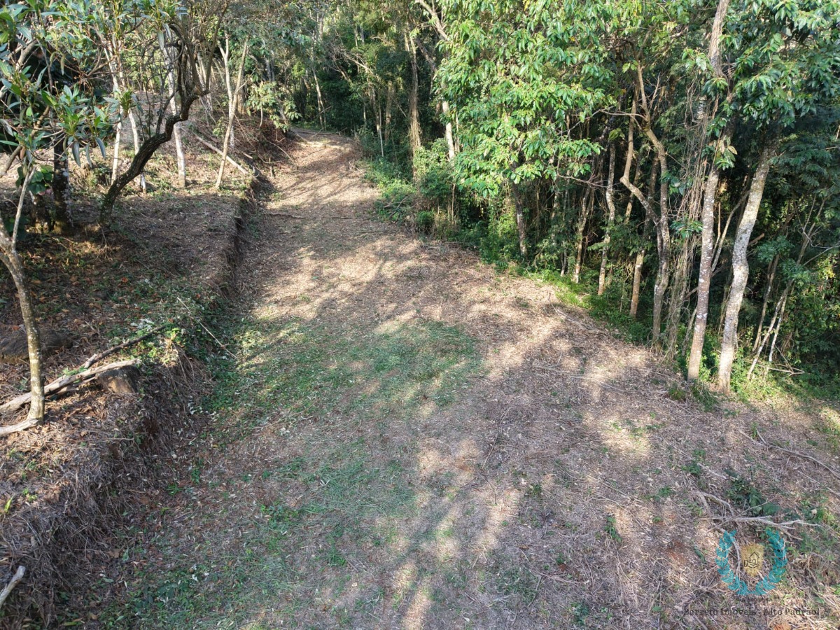 Terreno, 3265 m² - Foto 30
