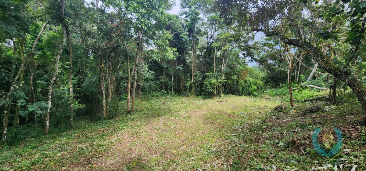 Terreno, 3265 m² - Foto 12