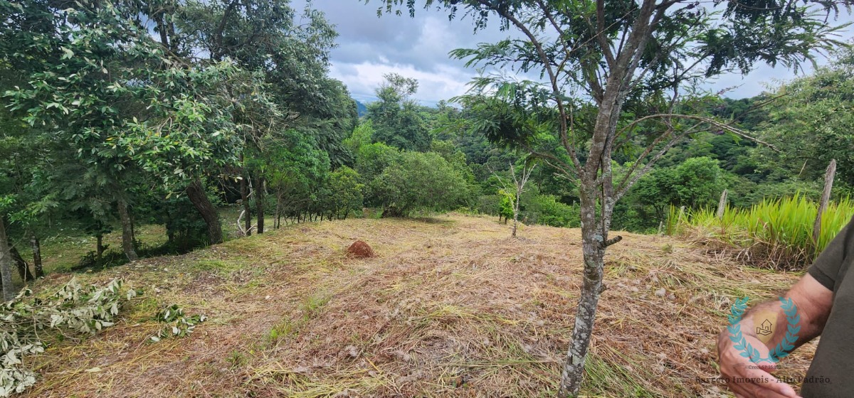 Terreno, 3265 m² - Foto 2
