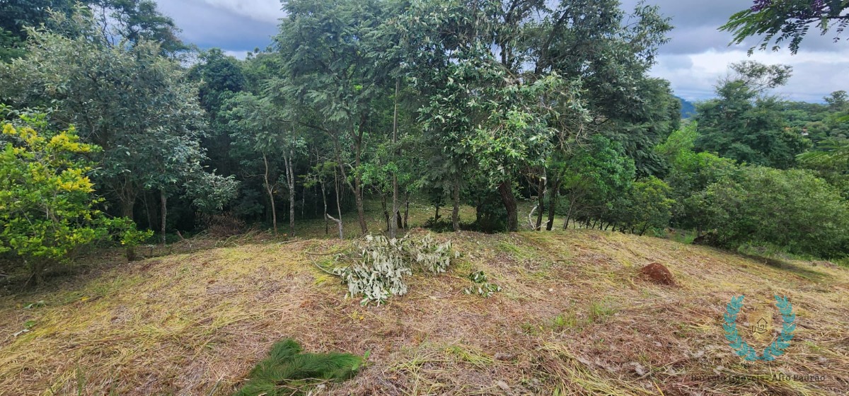 Terreno, 3265 m² - Foto 5