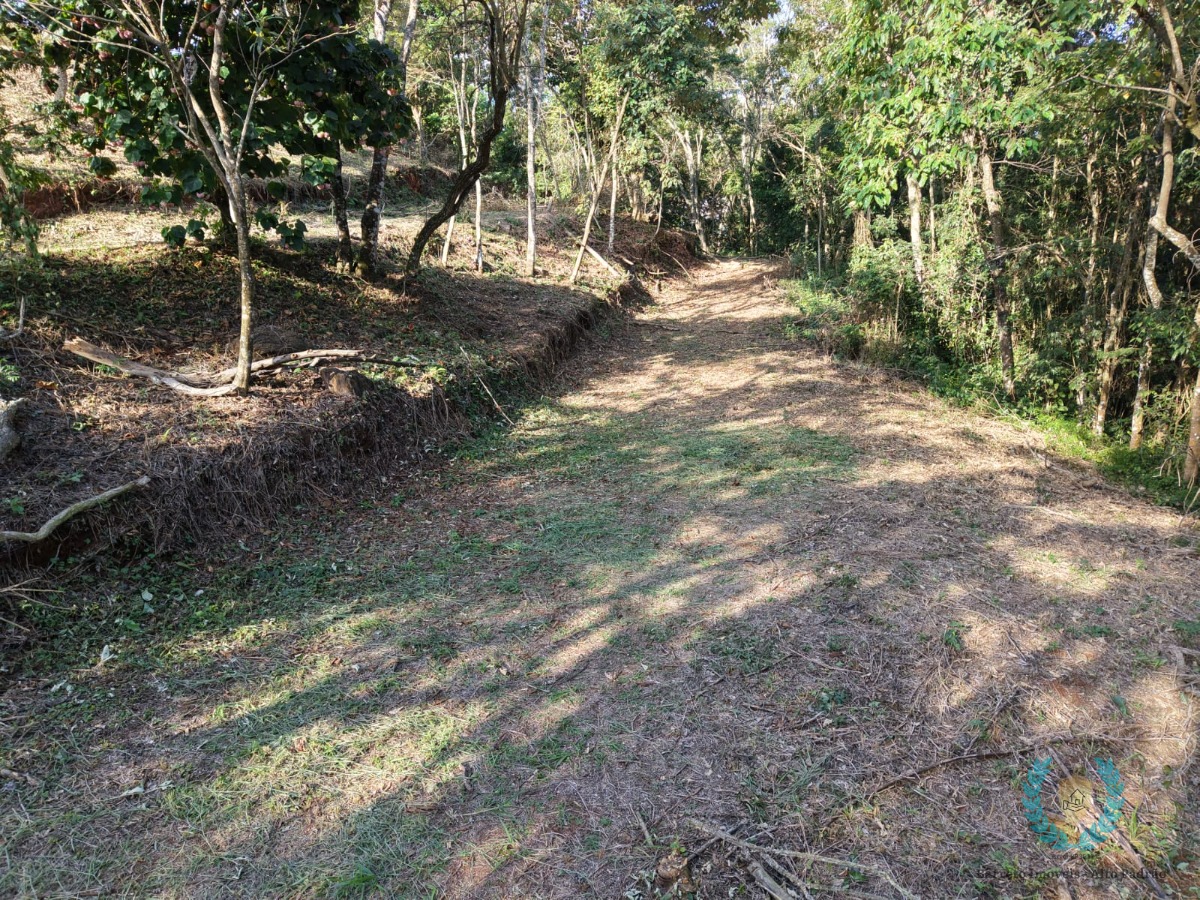 Terreno, 3265 m² - Foto 15