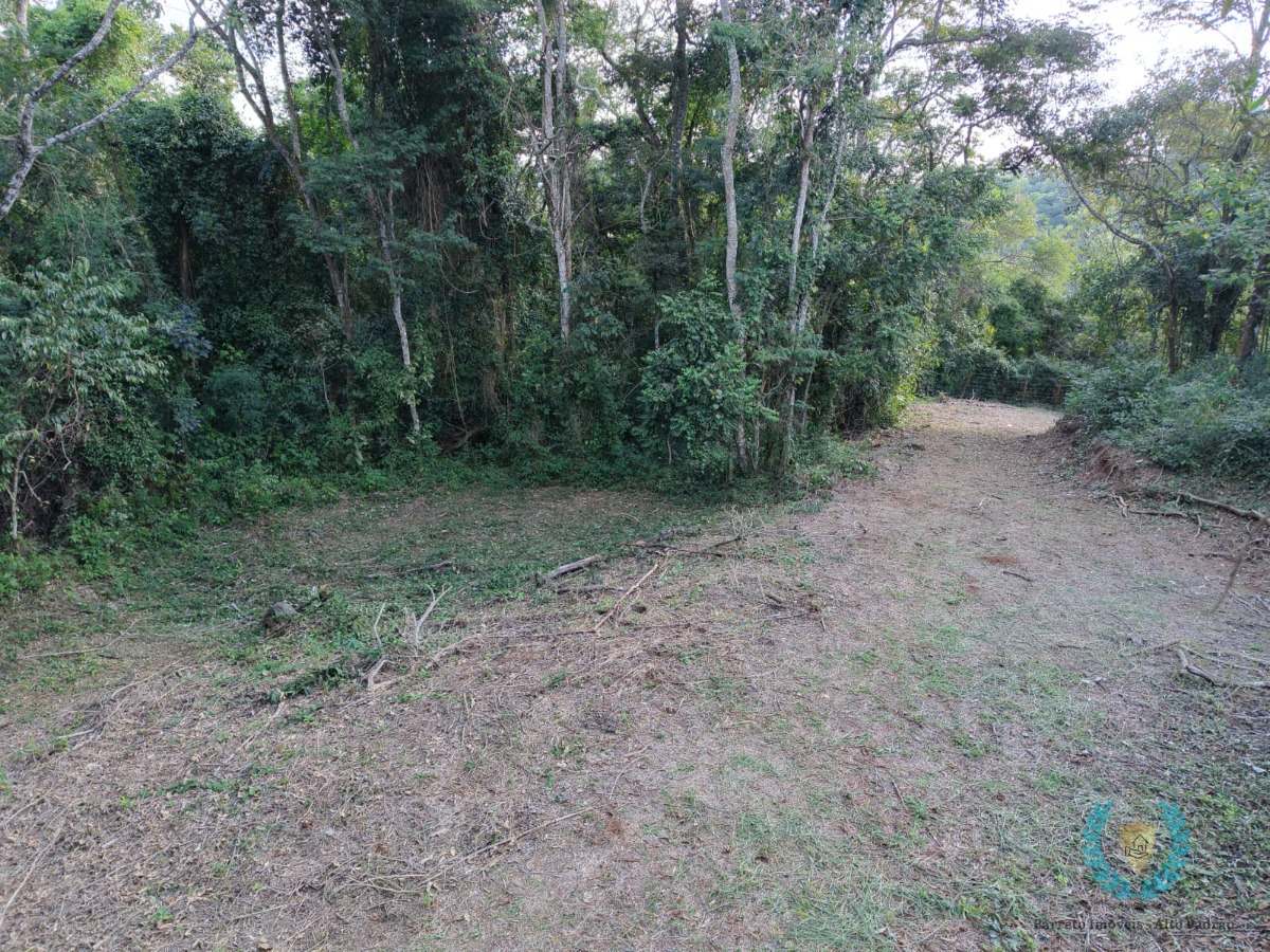 Terreno, 3265 m² - Foto 24