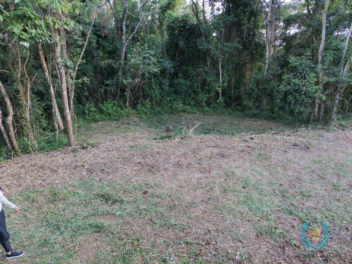 Terreno, 3265 m² - Foto 14