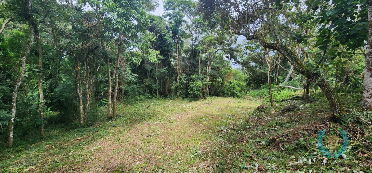 Terreno, 3265 m² - Foto 9