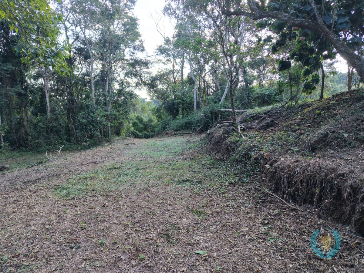 Terreno, 3265 m² - Foto 11