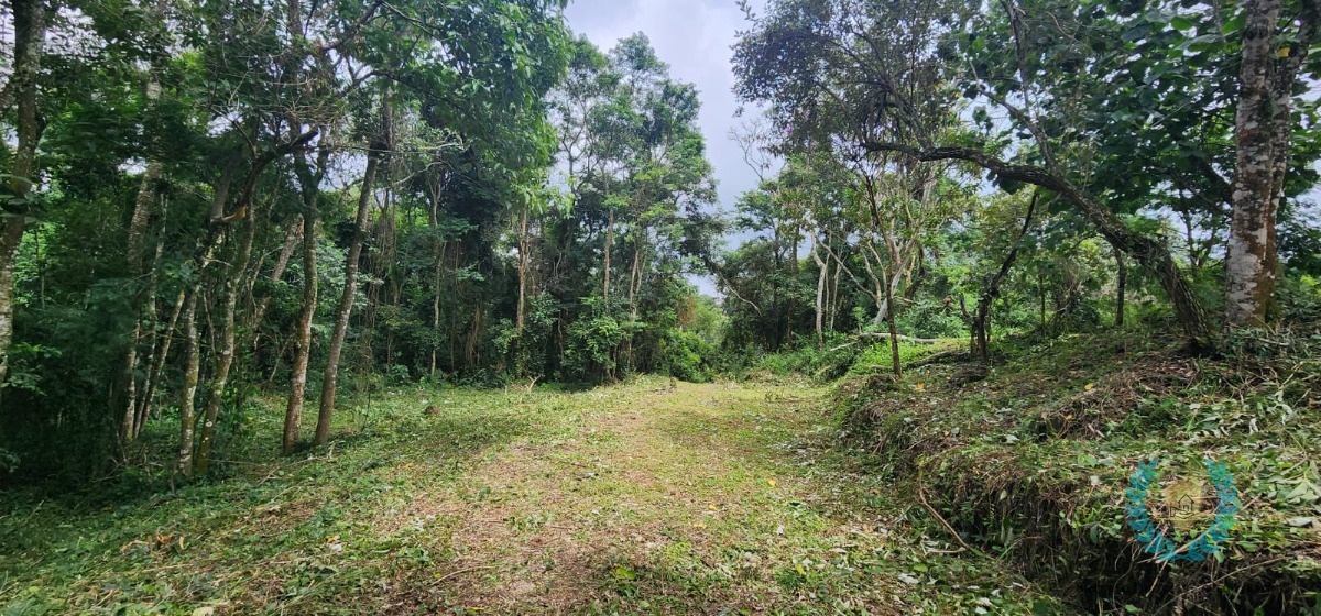 Terreno, 3265 m² - Foto 8