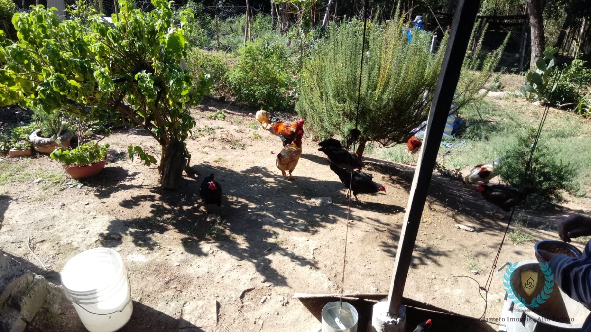 Fazenda, 25 m² - Foto 12