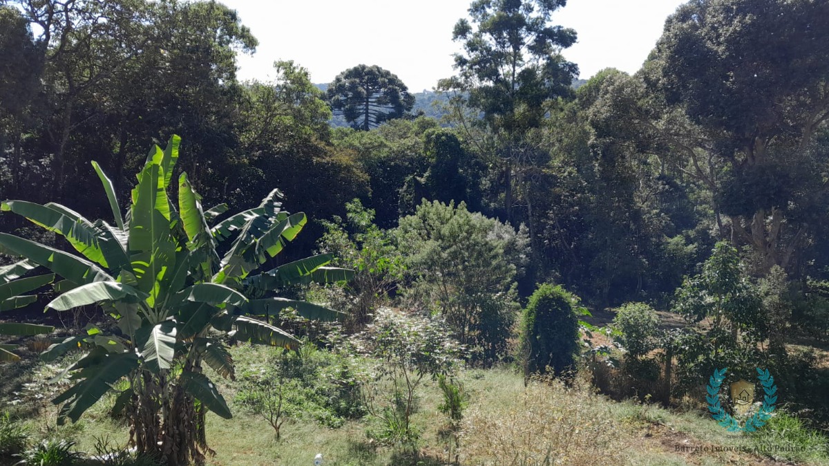 Fazenda, 25 m² - Foto 11