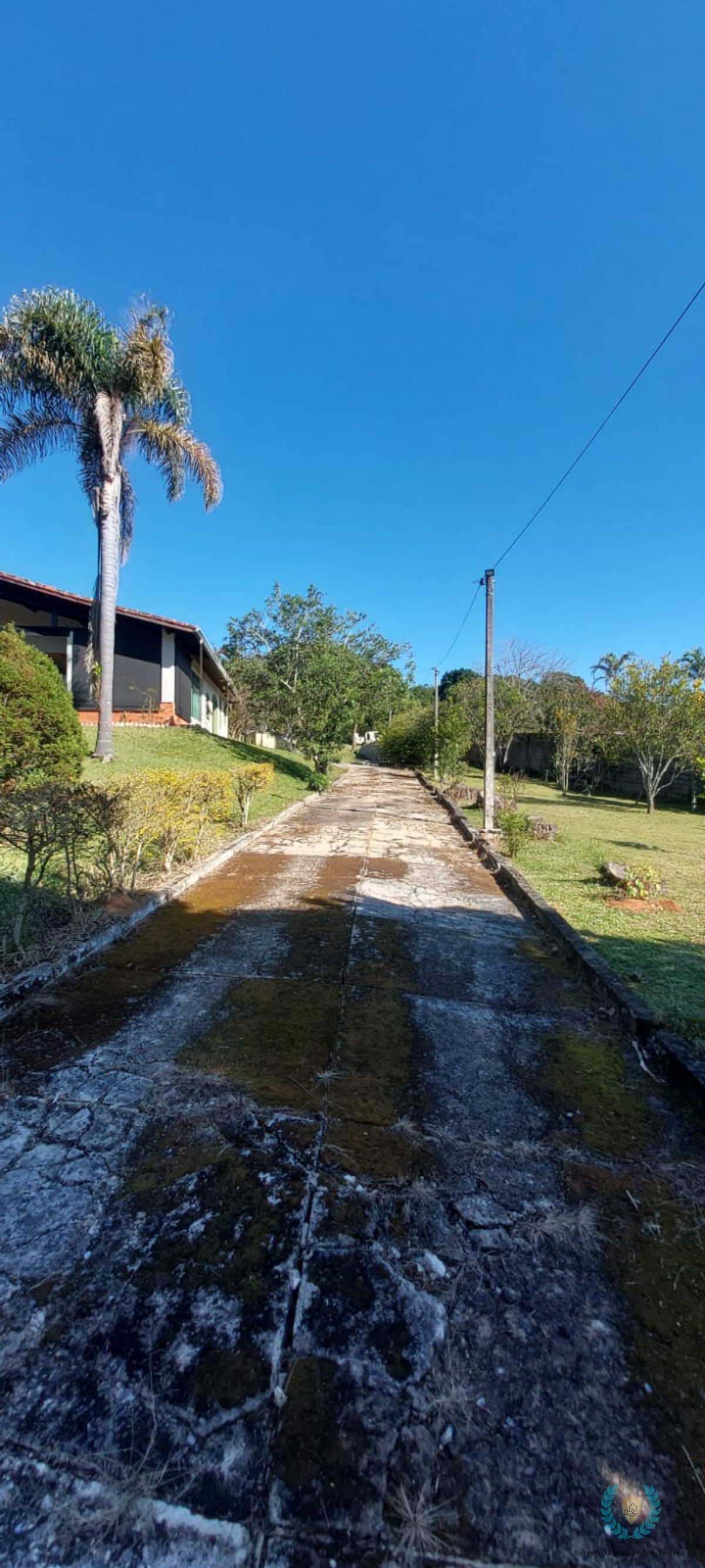 Sítio, 4 quartos, 5000 m² - Foto 6