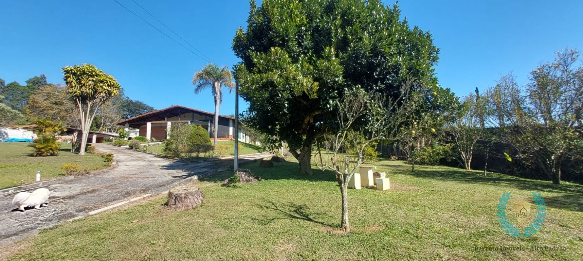 Sítio, 4 quartos, 5000 m² - Foto 5