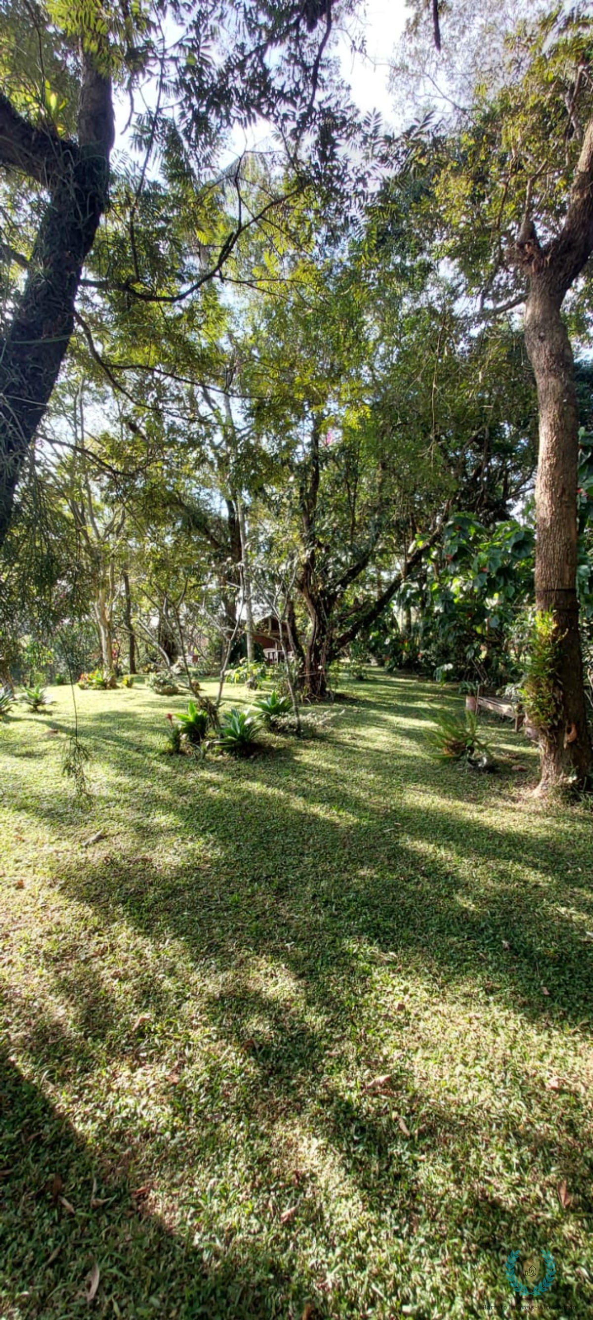 Sítio, 3 quartos, 23 m² - Foto 4
